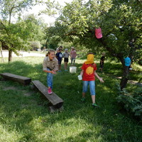 Závěrečná oddílovka