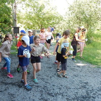 Závěrečná oddílovka