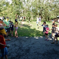 Závěrečná oddílovka