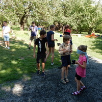 Závěrečná oddílovka