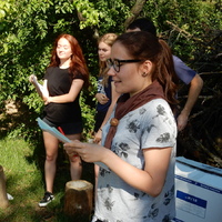 Závěrečná oddílovka