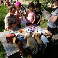 Závěrečná oddílovka