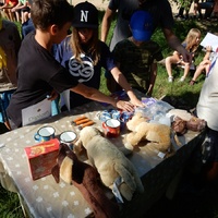 Závěrečná oddílovka