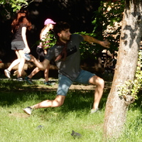 Závěrečná oddílovka