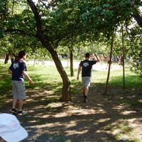 Závěrečná oddílovka