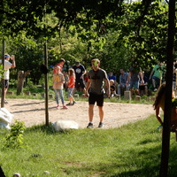 Závěrečná oddílovka