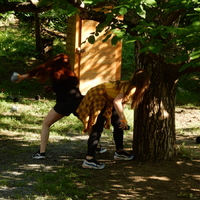 Závěrečná oddílovka