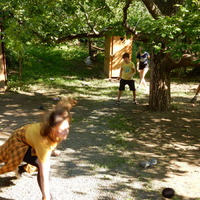 Závěrečná oddílovka