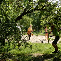 Závěrečná oddílovka