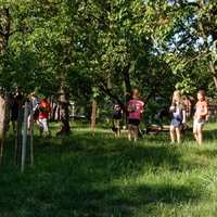 Závěrečná oddílovka