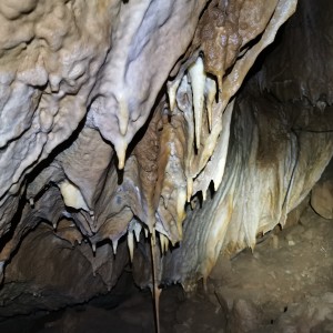 Výprava Lišek do Moravského krasu (2.-4.10.2020)