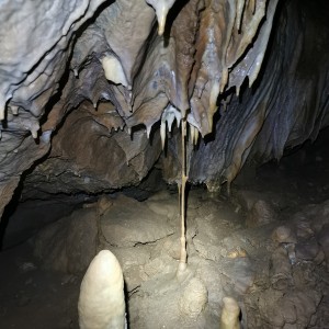 Výprava Lišek do Moravského krasu (2.-4.10.2020)