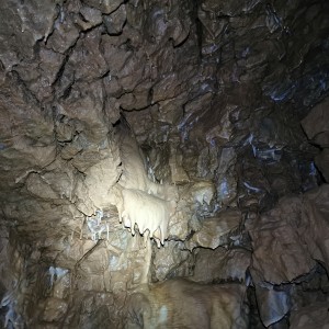 Výprava Lišek do Moravského krasu (2.-4.10.2020)