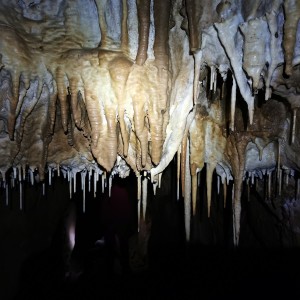 Výprava Lišek do Moravského krasu (2.-4.10.2020)