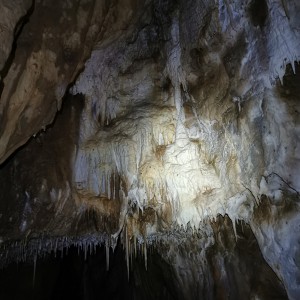 Výprava Lišek do Moravského krasu (2.-4.10.2020)