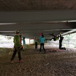 Výprava Lišek do Moravského krasu (2.-4.10.2020)