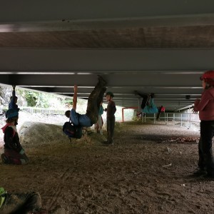 Výprava Lišek do Moravského krasu (2.-4.10.2020)