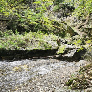 Výprava Lišek do Moravského krasu (2.-4.10.2020)