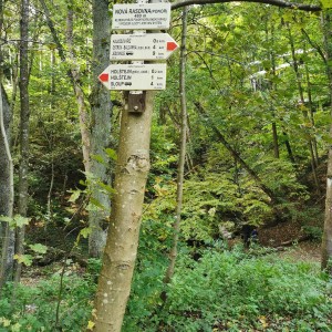 Výprava Lišek do Moravského krasu (2.-4.10.2020)