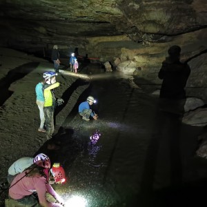 Výprava Lišek do Moravského krasu (2.-4.10.2020)