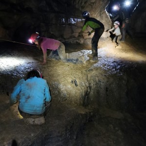 Výprava Lišek do Moravského krasu (2.-4.10.2020)