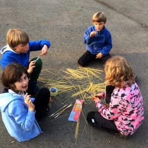 Fotky z březnových a dubnových schůzek Lišek