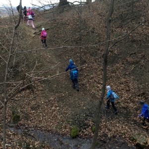 Výprava Lišek na rozhlednu Panorama