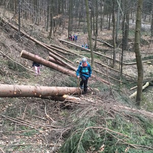 Výprava Lišek na rozhlednu Panorama
