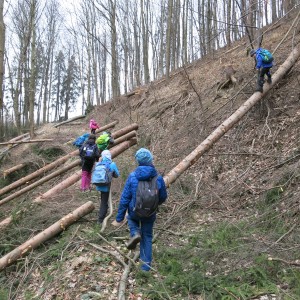 Výprava Lišek na rozhlednu Panorama