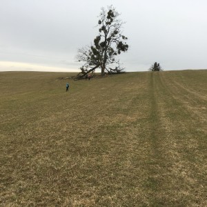 Výprava Lišek na rozhlednu Panorama