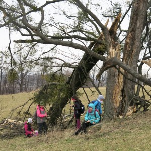 Výprava Lišek na rozhlednu Panorama