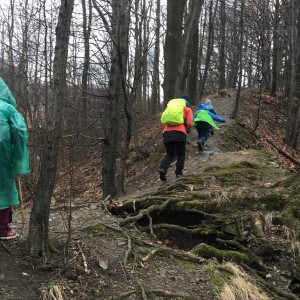 Výprava Lišek na rozhlednu Panorama