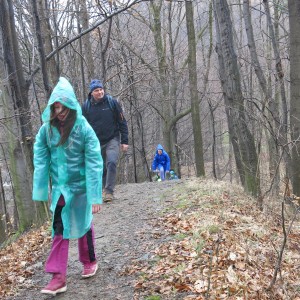 Výprava Lišek na rozhlednu Panorama