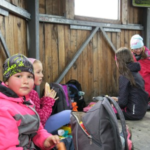 Výprava Lišek na rozhlednu Panorama