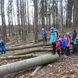 Výprava Lišek na rozhlednu Panorama