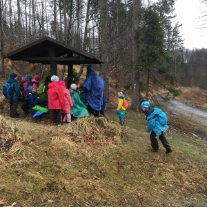 Výprava Lišek na rozhlednu Panorama