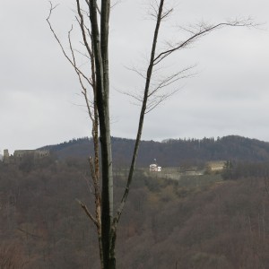 Výprava Lišek na rozhlednu Panorama