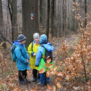 Výprava Lišek na rozhlednu Panorama