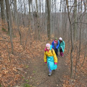 Výprava Lišek na rozhlednu Panorama