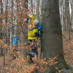 Výprava Lišek na rozhlednu Panorama