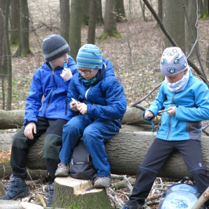 Výprava Lišek na rozhlednu Panorama
