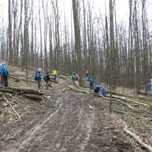 Výprava Lišek na rozhlednu Panorama