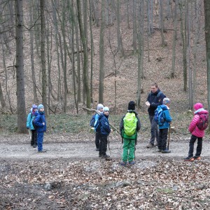 Výprava Lišek na rozhlednu Panorama