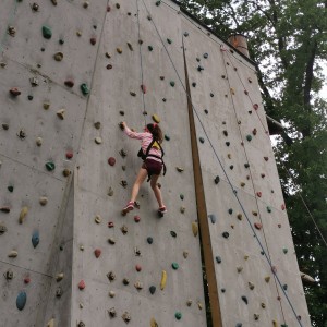 Výprava Lišek do lanového centra