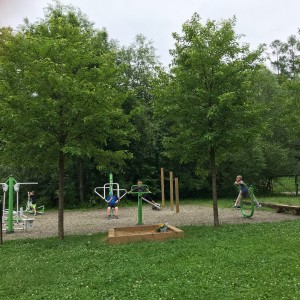 Výprava Lišek do lanového centra