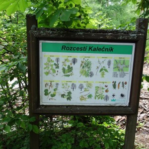 Dračí cyklovýprava na Hartlovku