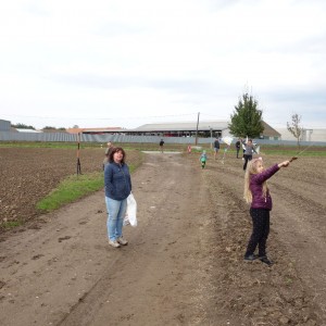 Drakyáda, která se nekonala…