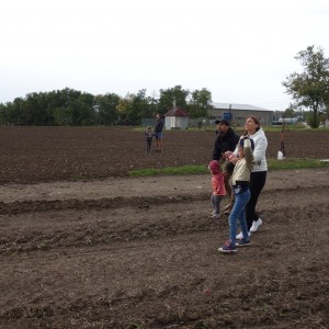 Drakyáda, která se nekonala…