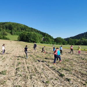 Fotky z družinových schůzek Lišek