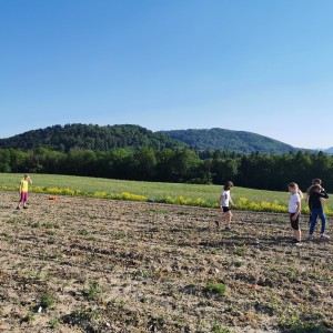 Fotky z družinových schůzek Lišek